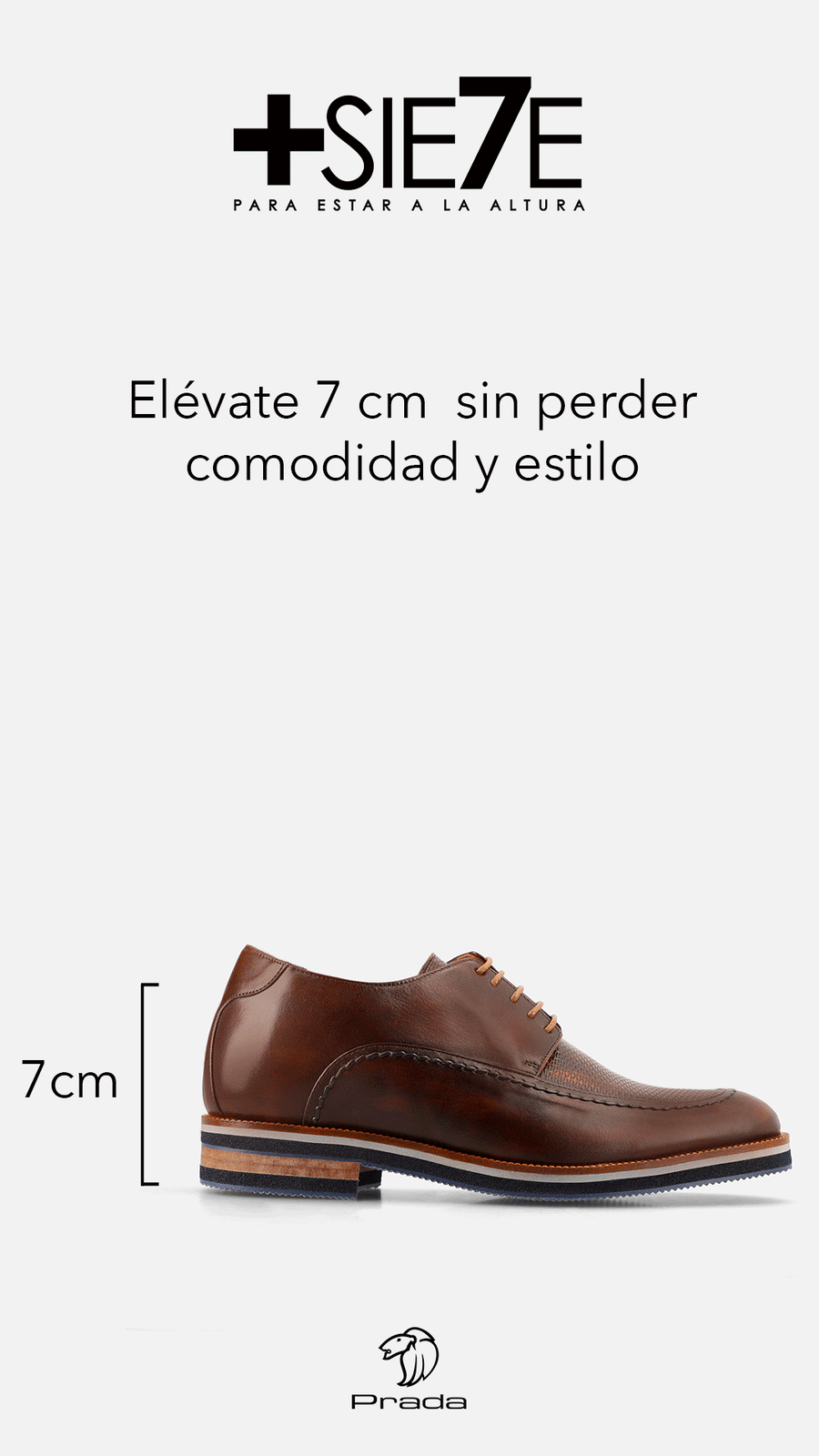Oxford +7  cm de altura en piel napa color vino con picado María y cordones para hombre
